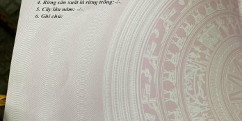 CẦN BÁN NỀN PHƯỜNG TÂN NGÃI , CÁCH CẦU BÀ GIÁO 1Km