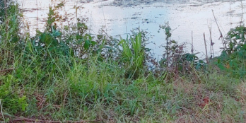 KẸT TIỀN  ️️️ BÁN  9  CÔNG RUỘNG + VƯỜN  GIÁ RẺ