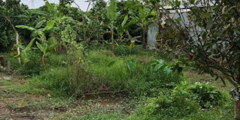 Đất phường Tân Ngãi dt 72.5 m cln