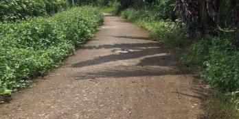 Cần bán 4.5 công (31x145) đất vườn - Phường Tân Hội - TP. Vĩnh Long: