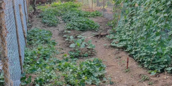 Cần bán thửa đất tại phường Tân ngãi tpvl