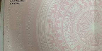 BÁN GẤP ĐẤT, GIÁ RẼ SO VỚI KHU VỰC, TẠI KHU ĐÔ THỊ MINH LINH