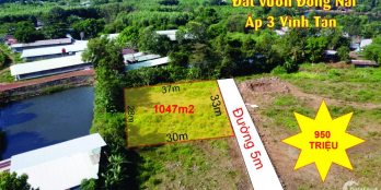 BÁN ĐẤT VƯỜN KHU CÔNG NGHIỆP SÔNG MÂY, NGÃ BA TRỊ AN