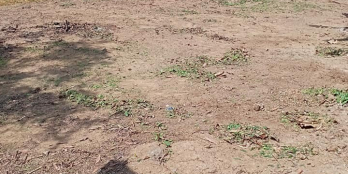 Cho thuê nhà và đất mặt tiền đường QL1A