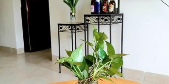 Bán nhanh căn hộ tầng 4, tòa S3 chung cư Sunrise Hùng Thắng, Hạ Long