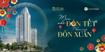 Nhận Mai Vàng rước lộc xuân cùng Ecolife Riverside Quy Nhơn 0965268349