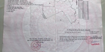 12 hecta đất Hàm Tân, Bình Thuận GIÁ RẺ