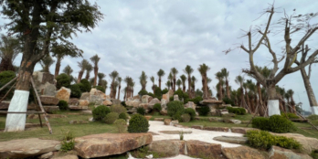 Suất ngoại giao phân khu Kim Long dự án Đồi Rồng Đồ Sơn