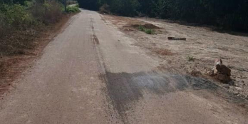 6 sào Tân An (có 150m thổ cư) mặt  đường 70m.