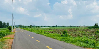 Cần bán: 1000m2 mặt tiền đường nhựa sổ riêng