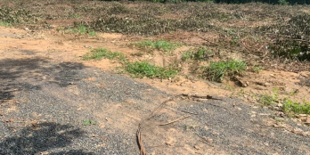 Chính chủ cần bán đất ở ấp 5 xã Phước Bình-Long Thành.