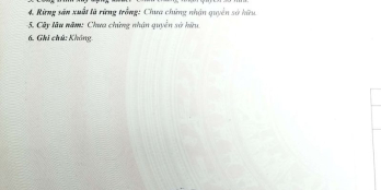 Đổi chổ ở và làm việc nên cần ra đất Quốc lộ 54 phía kinh bờ đai.