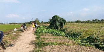 Đất ruộng 3 bên giáp lộ, 1 cạnh giáp kinh thoát nước