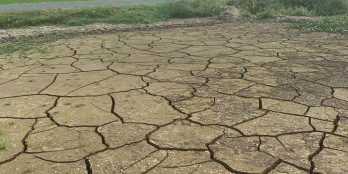 Sổ hồng hoàn chỉnh. Bán 3 nền liền kề mặt tiền 909 cách ql54 1,3 km. đông thành,