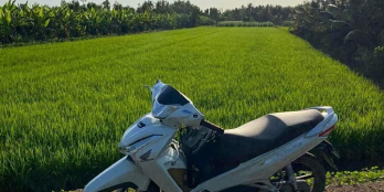 Chủ gửi 3600m mặt tiền 28 nở hậu 29m