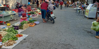 Ngang 5 x dài 30 (có 50m thổ cư)