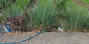 Chủ gởi bán nền biệt thự KDC chợ Đông Bình