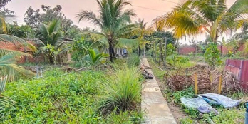 Bán ?.???m2 đất vườn ven đô TP.Vĩnh Long