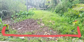 Chu goi bán nền đất thổ cư cách chợ Hóa Thành