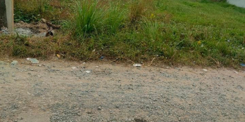 Cần tiền xài tết chủ cần bán gấp cặp nền đẹp lý tưởng