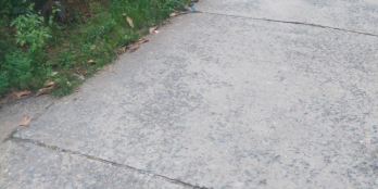 Bán nhà cấp 4 nóc thái.huong đông nam 11m dài 30m 87m thổ