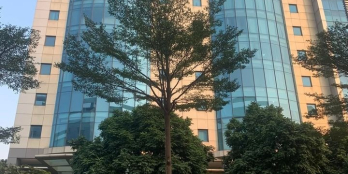 Chính chủ bán gấp nhà MP Trần Thái Tông, Cầu Giấy Dt khủng 500m2 x 13T, mt 16.5m