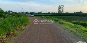 Bán lô đất 550m2 Phước Long Thọ - Huyện Đất Đỏ, Bà Rịa Vũng Tàu giá 750tr