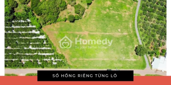 Đầu tư mùa dịch, hãy bắt tiền làm việc trong mọi hoàn cảnh