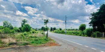 Cần bán gấp 236m2 đất Xã Long Tân, Huyện Đất Đỏ, Bà Rịa Vũng Tàu