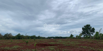 Siêu phẩm đất nền ngay mặt tiền đường 765 khu công nghiệp Đá Bạc 1 tỷ nề