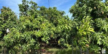 Tôi cần bán lô đất Xã Phú Ngọc huyện Định  Quán