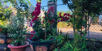 Bán 7.5 xào đường betong 2 xe tải tránh nhau