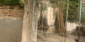 Em nhanh lô Gia Phú Gia Gia viễn 285 mét vuông