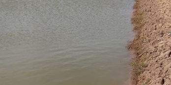 ần ra hơn 23 công vuông ở ấp 13, xã Vĩnh Hậu, Hoà Bình, Bạc liêu.