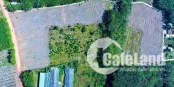 đất nền vùng ven 550tr vốn ít sinh lời cao