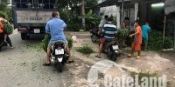 bán Nhà cấp 4 đang cho thuê Hướng Đông Nam- XÃ BÌNH LỢI, BÌNH CHÁNH - CHÍNH CHỦ