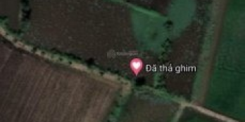 Bán đất Xã Bình Lợi, Bình Chánh, Kênh Năm Xuyên, 8công, 1.2ty một công