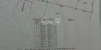 Chính chủ bán nhà cấp 4, 1.65 tỷ-xã phạm văn hai, bình chánh, shr, dt: 135m2