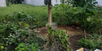 Gia đình định cư nước ngoài, chính chủ cần bán 2 lô đất liền kề Đường 5A