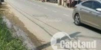 bán đất an phú tây Kế bên chợ đầu mối Bình Điền buôn bán tấp nập