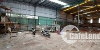 bán đất Nở hậu 19m chính chủ-Thổ cư: 855m2, 123m2 đất vườn-bình chánh