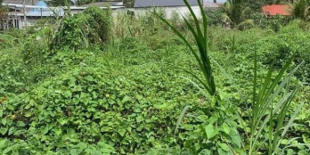 Bán nền có thổ, cách xã hoà Phú 200m