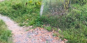 Bán nền đất Long Phước Long hồ Vĩnh Long - tổng diện tích. ;301m