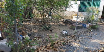 Cách chùa Kỳ Viên 50m vô hẻm 80m