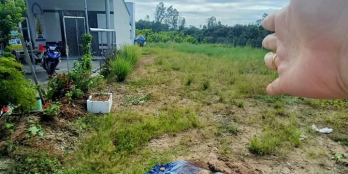 Cần bán nhà  ở trạm cầu đôi cách ql1a Nhà:  2p ngủ + 1p khách + 1 nhà bếp + 1