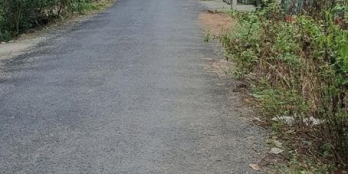 BÁN ĐẤT NỀN MẶT TIỀN LỘ NHỰA DH25, LONG PHƯỚC, LONG HỒ.