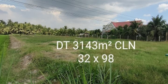 Bán 3,3 công đất xã Hòa Ninh, huyện Long Hồ