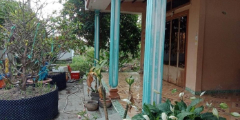 Cần bán đất long an. Long hồ vl. Trên đât. Dt. 393m. Có 100m thổ cư