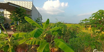 BÁN ĐẤT THỔ CƯ TẠI HOÀ PHÚ- LONG HỒ