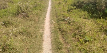 BÁN ĐẤT XÃ LONG PHUỚC GẦN UBND,